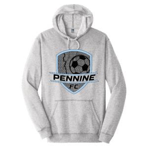 DISTRICT LIGHT GREY HOODIE LARGE LOGO